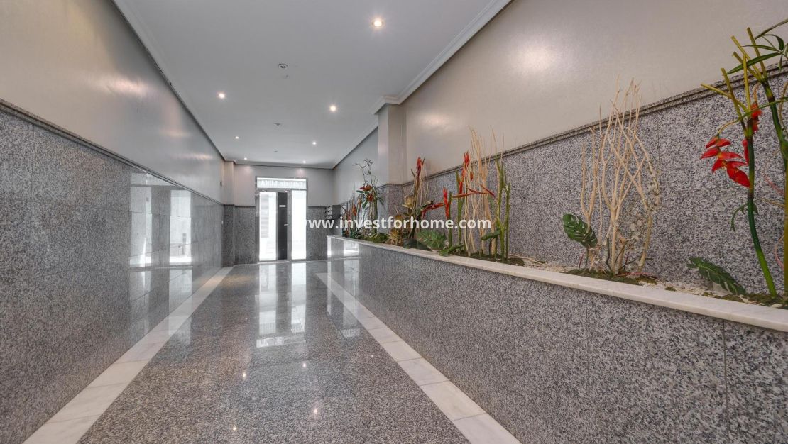 Vente - Appartement - Torrevieja - Centro