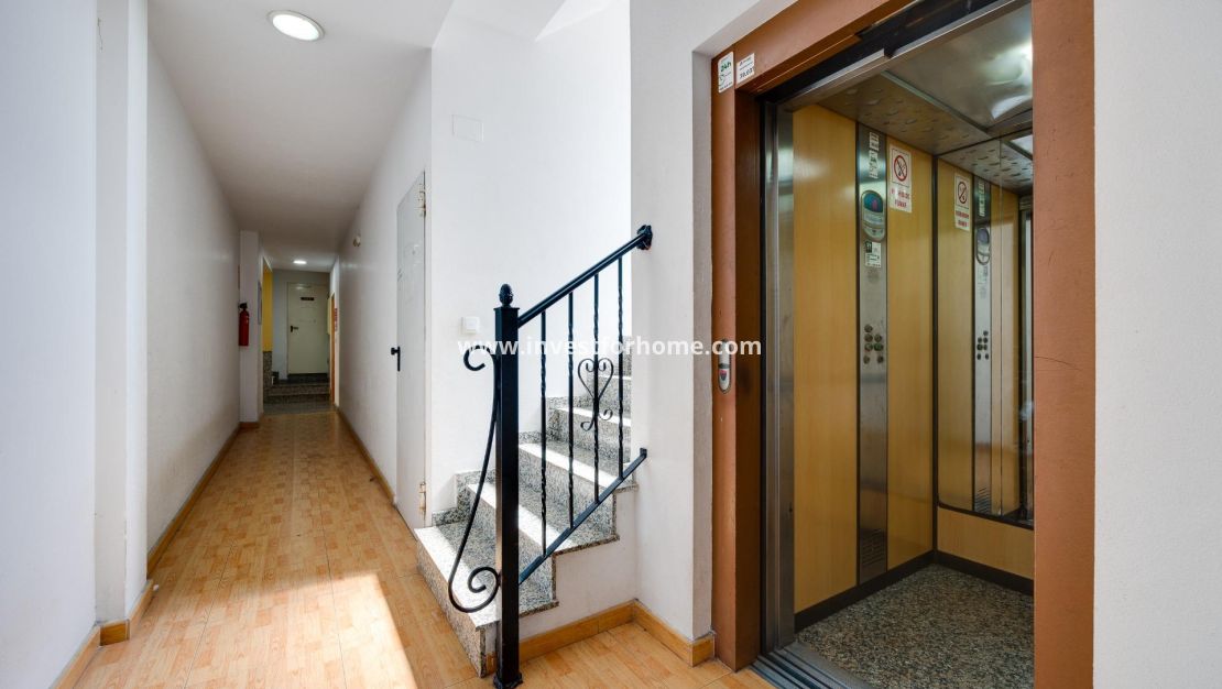 Vente - Appartement - Torrevieja - Centro