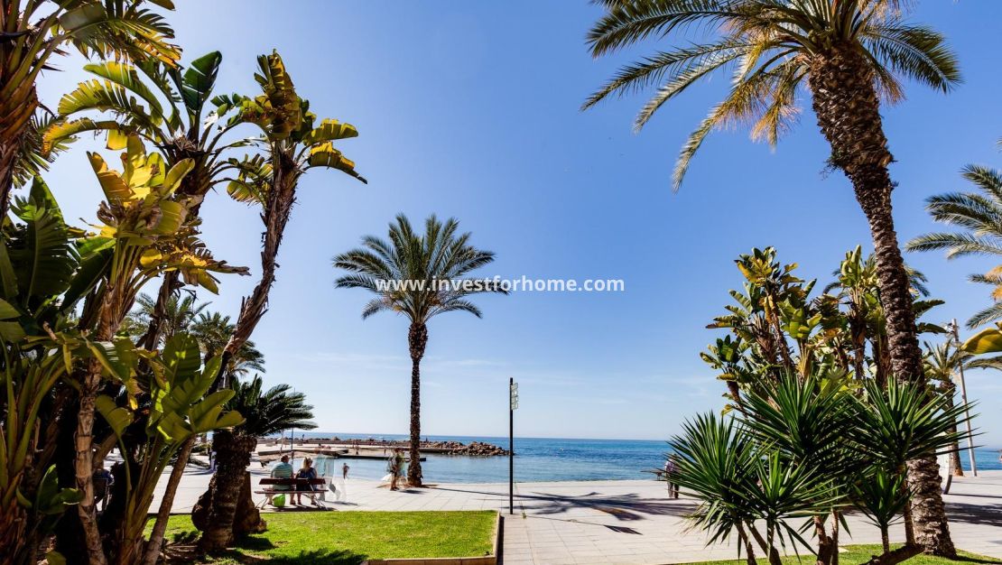 Vente - Appartement - Torrevieja - Centro