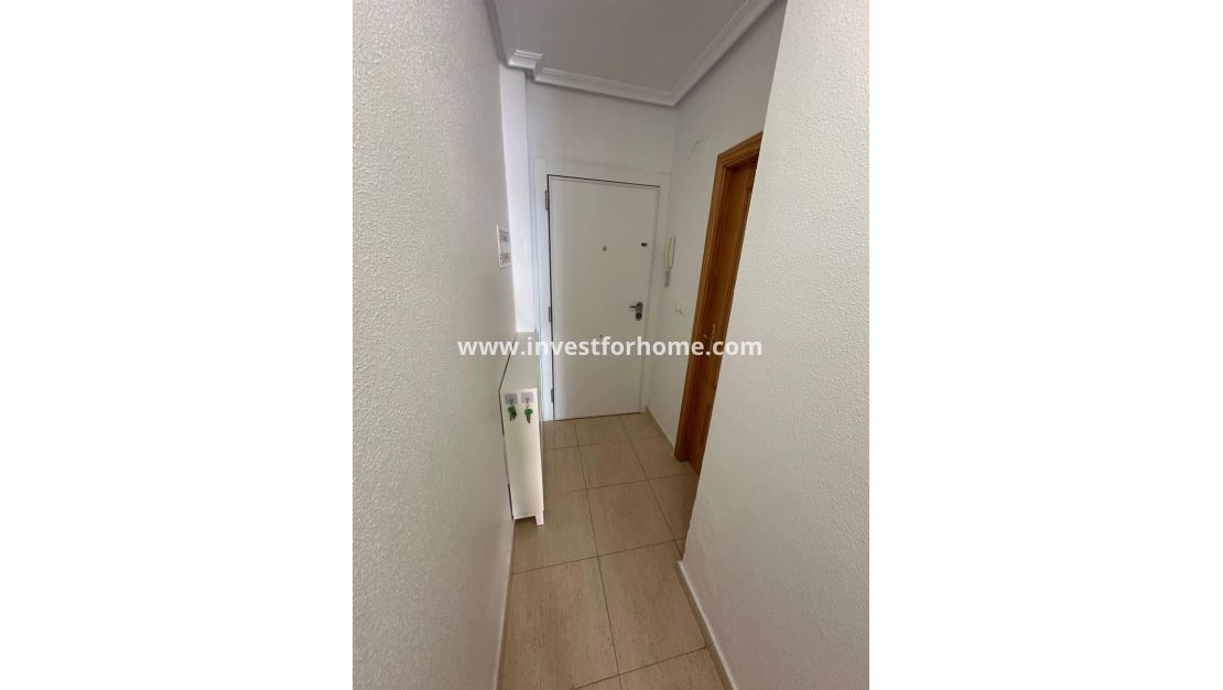 Vente - Appartement - Torrevieja - Centro