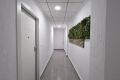 Vente - Appartement - Torrevieja - Centro
