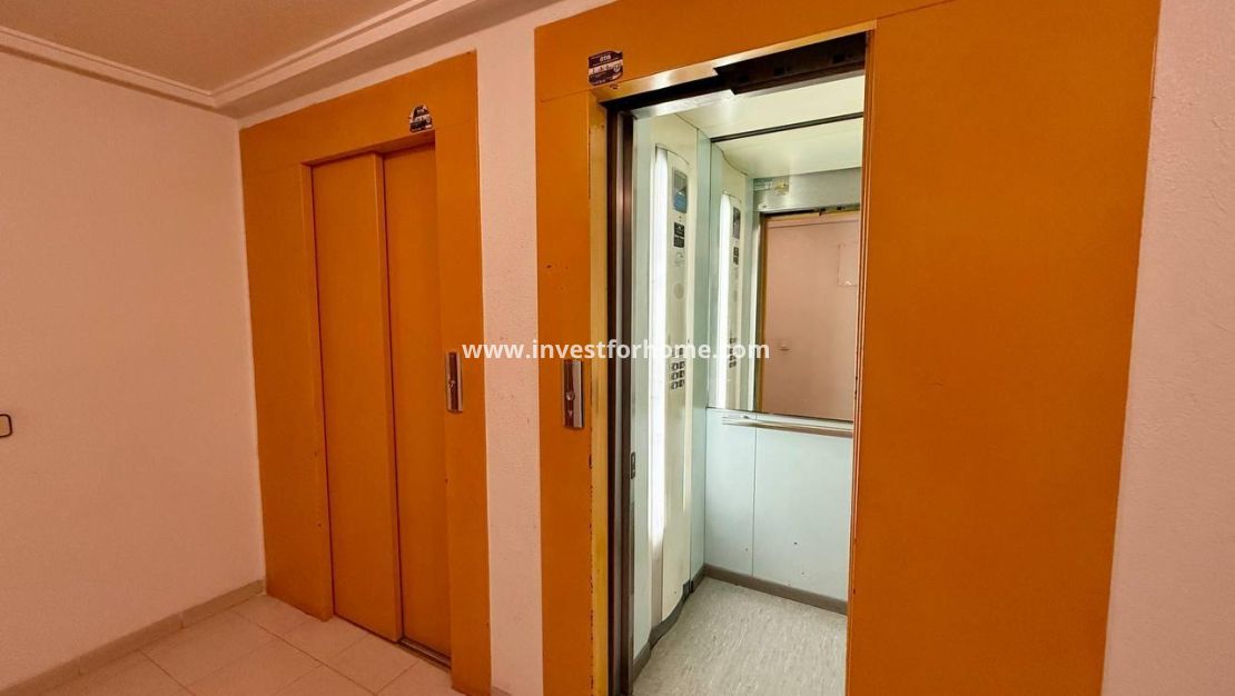 Vente - Appartement - Torrevieja - Centro