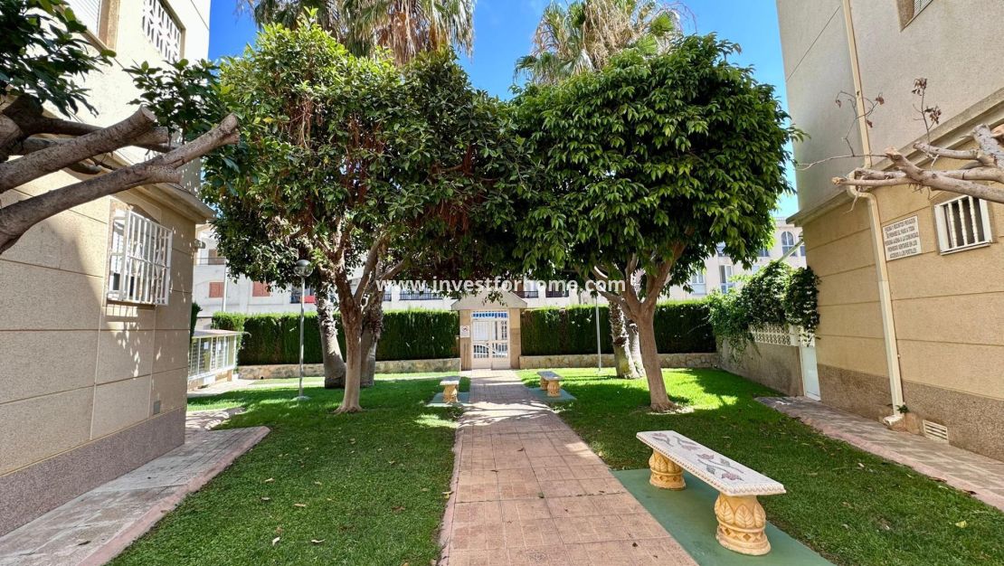 Vente - Appartement - Torrevieja - Centro