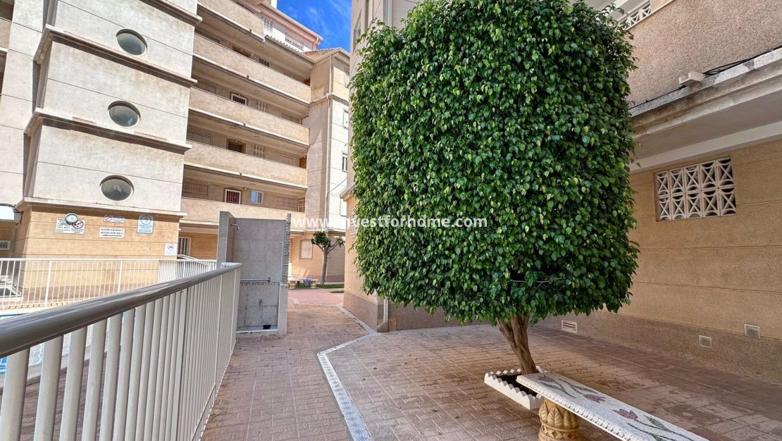 Vente - Appartement - Torrevieja - Centro