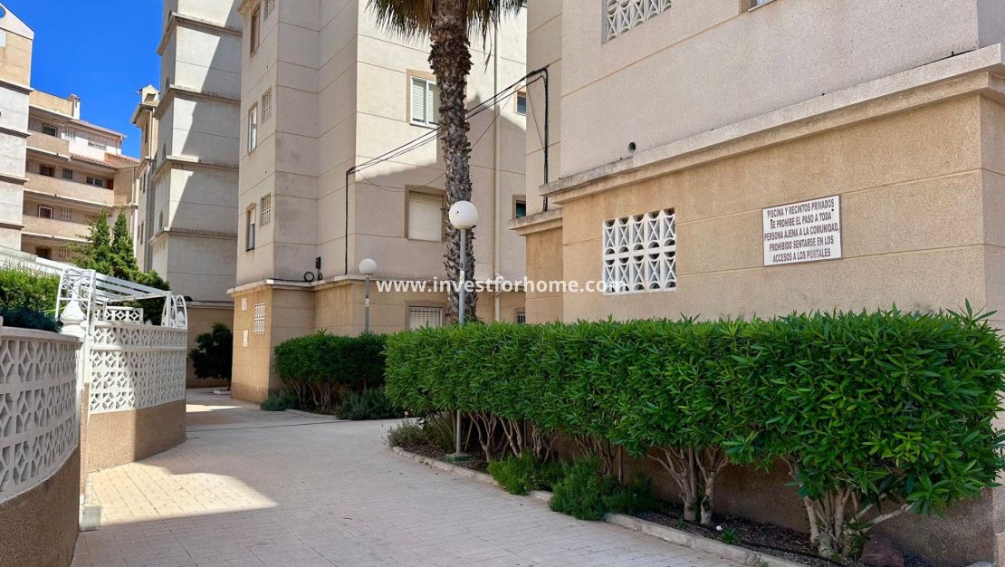 Vente - Appartement - Torrevieja - Centro
