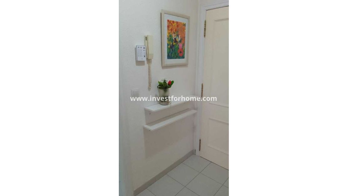 Vente - Appartement - Torrevieja - Centro