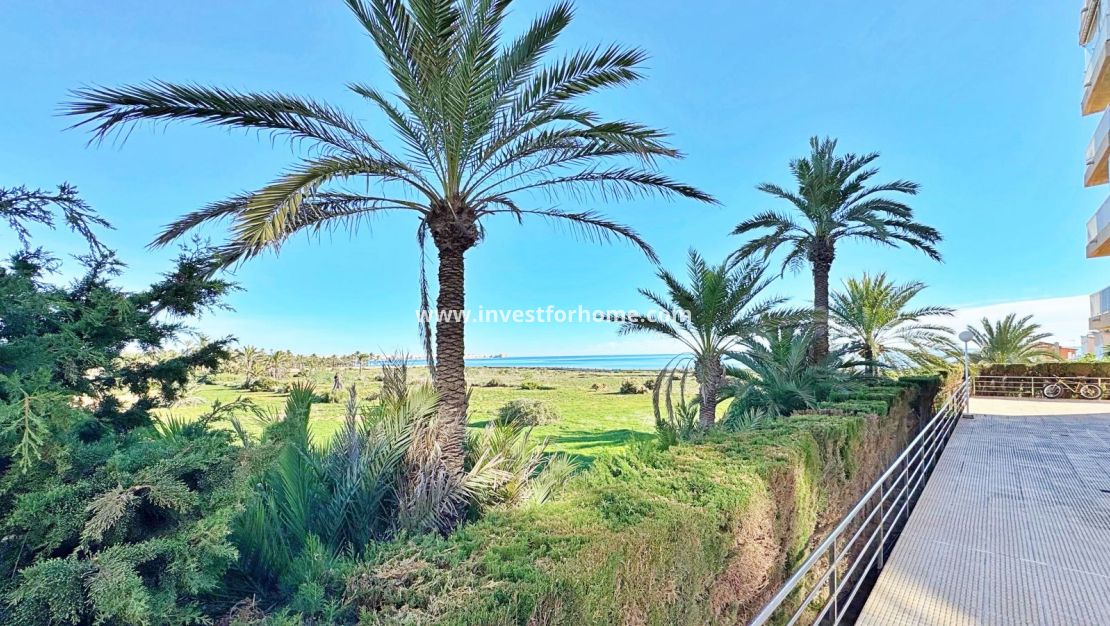 Vente - Appartement - Torrevieja - Costa Blanca
