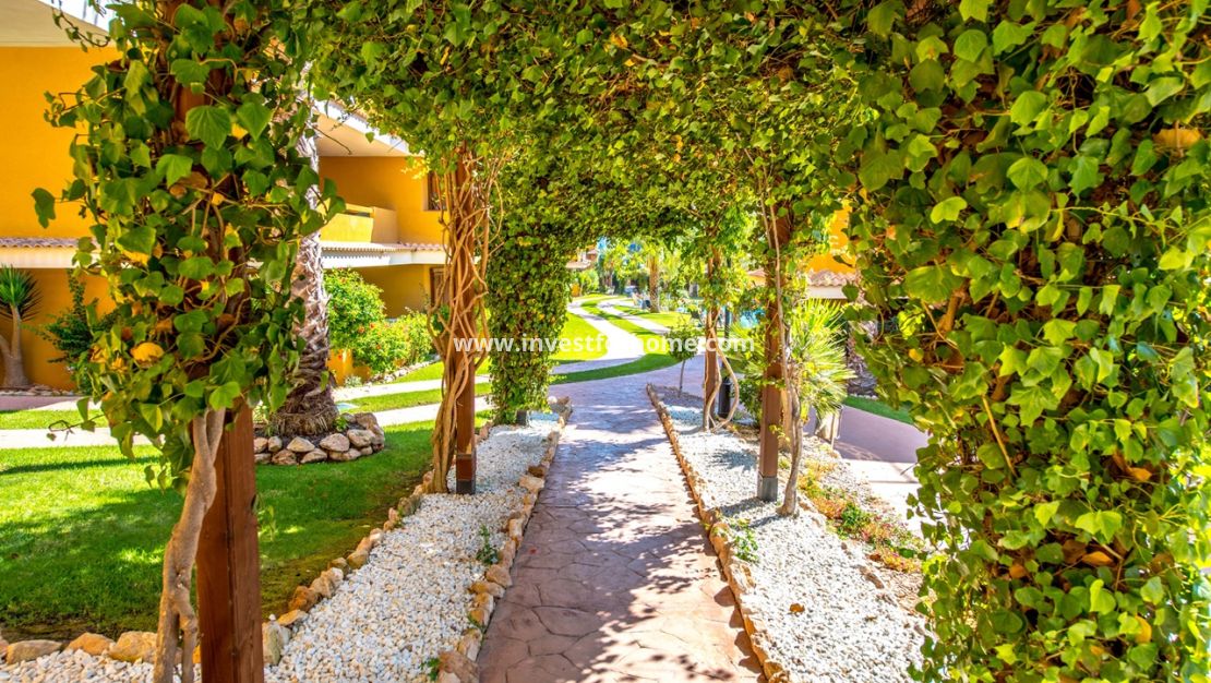 Vente - Appartement - Torrevieja - Costa Blanca