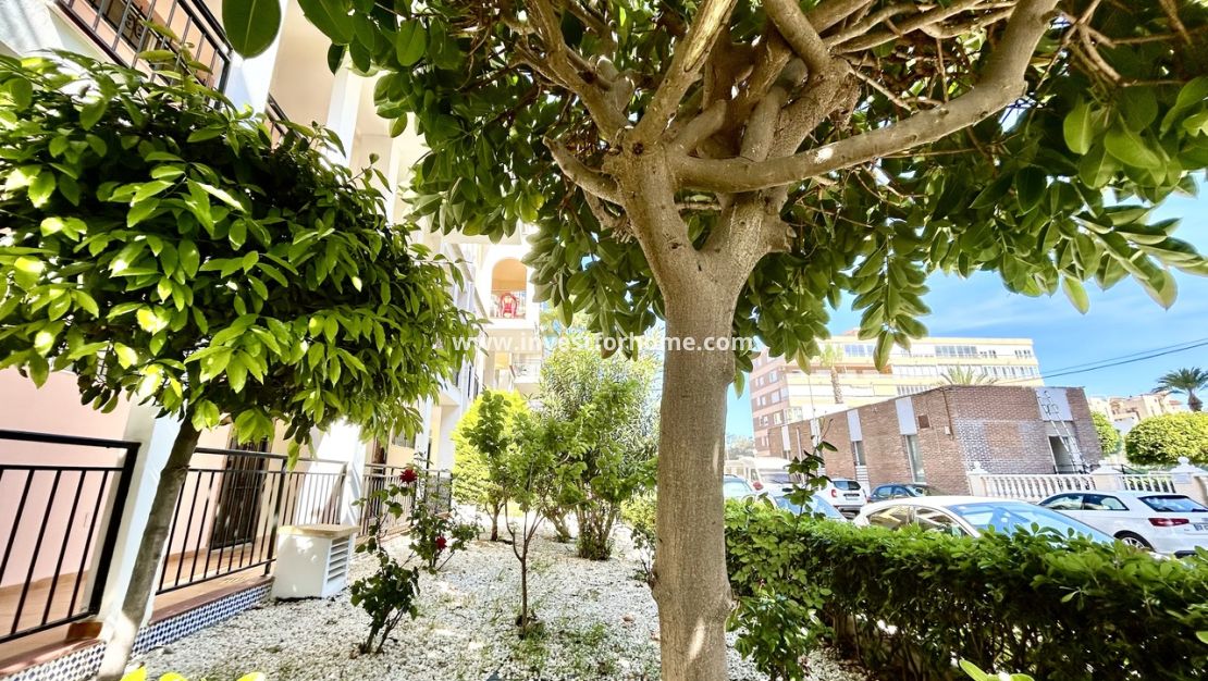 Vente - Appartement - Torrevieja - Costa Blanca