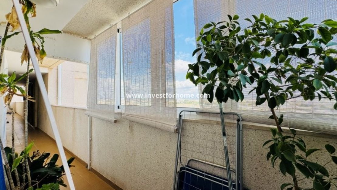 Vente - Appartement - Torrevieja - Costa Blanca