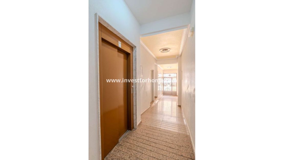 Vente - Appartement - Torrevieja - Costa Blanca