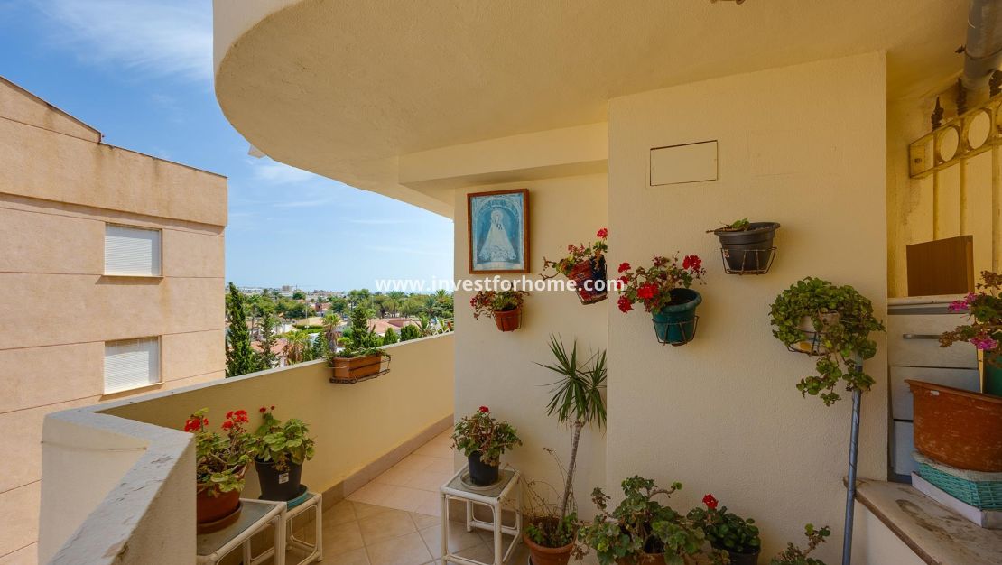 Vente - Appartement - Torrevieja - Costa Blanca