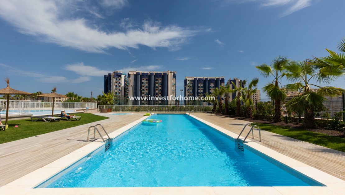 Vente - Appartement - Torrevieja - Costa Blanca
