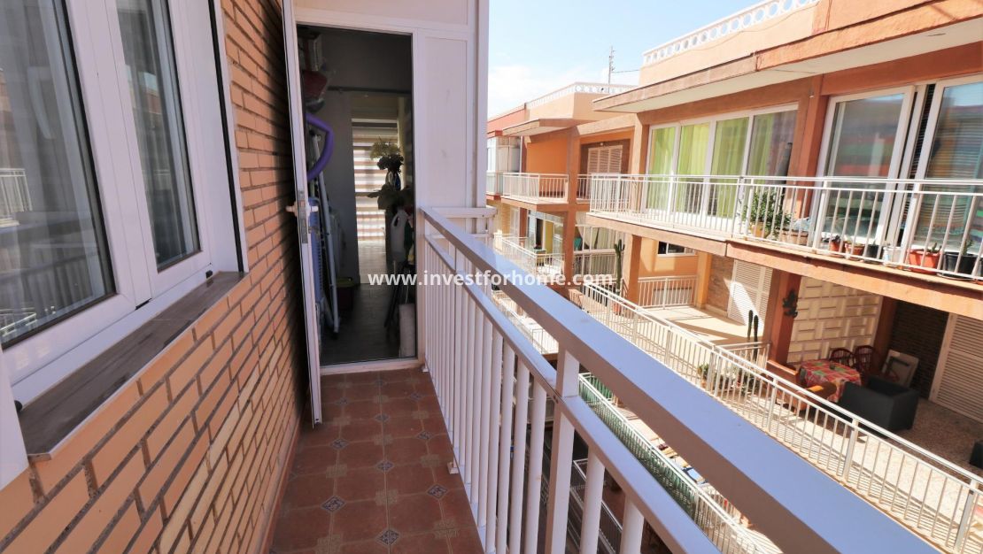 Vente - Appartement - Torrevieja - El Acequión - Los Náufragos