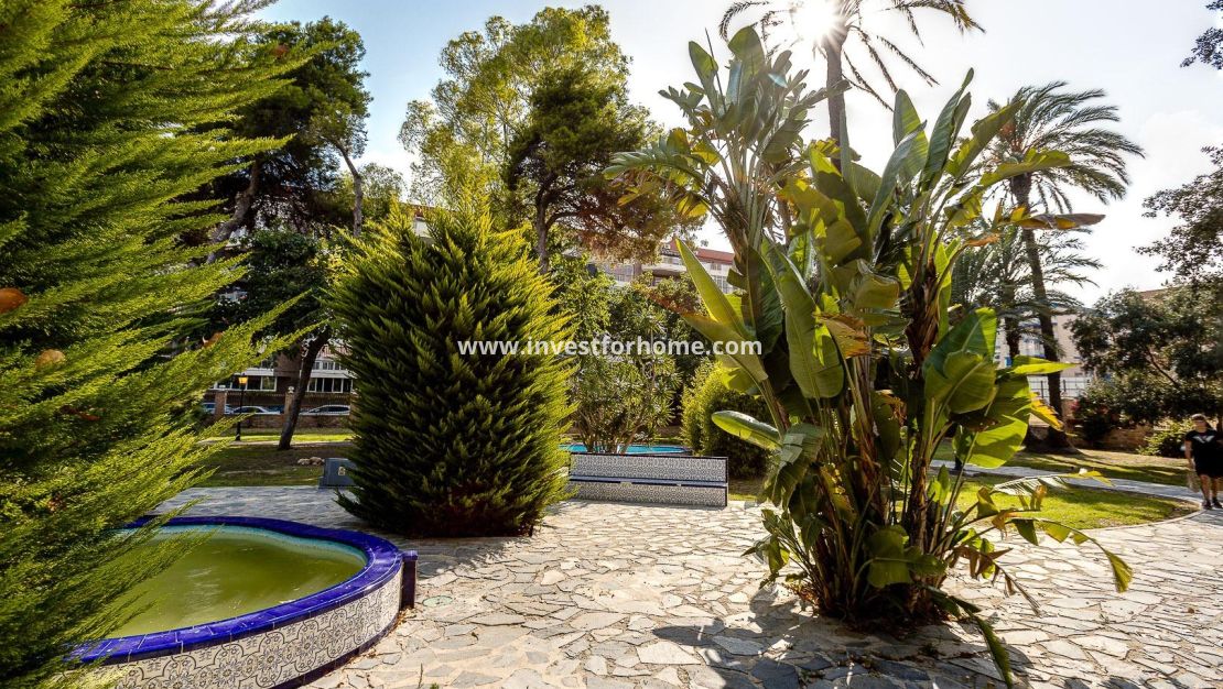 Vente - Appartement - Torrevieja - El Acequión - Los Náufragos