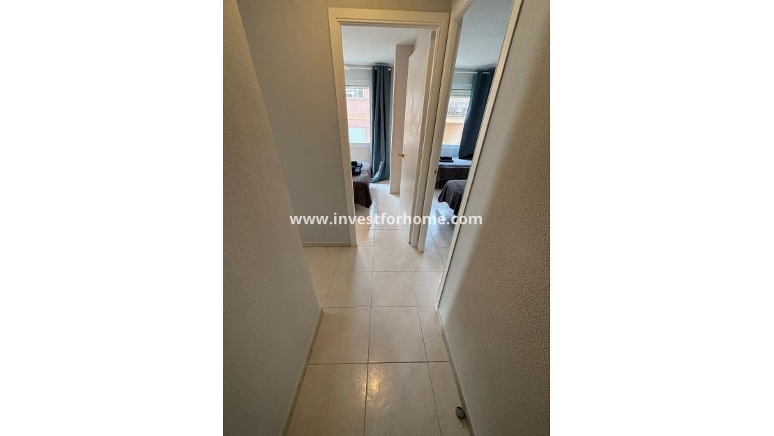 Vente - Appartement - Torrevieja - El Acequión - Los Náufragos