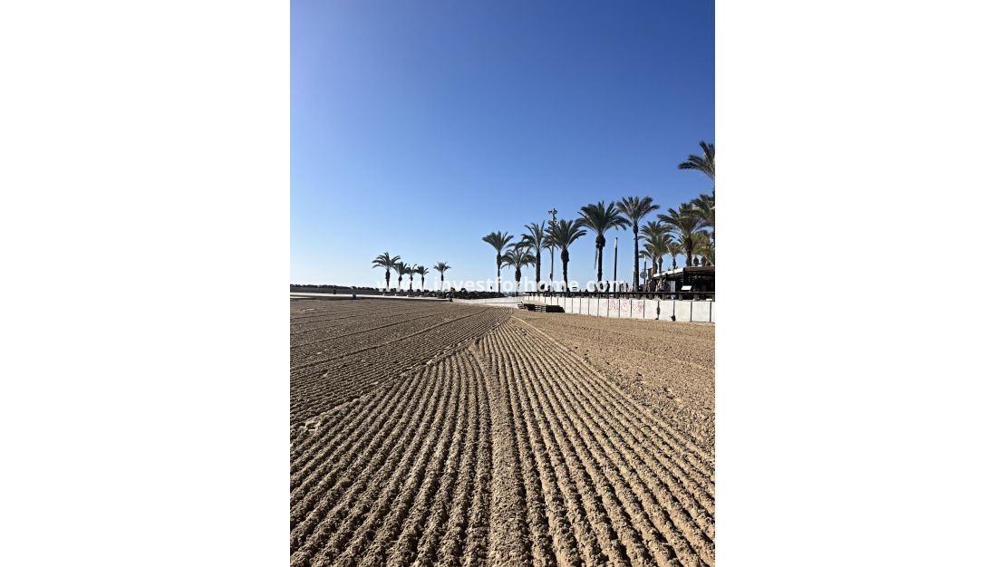 Vente - Appartement - Torrevieja - Estacion De Autobuses