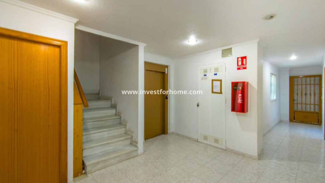Vente - Appartement - Torrevieja - Estacion De Autobuses
