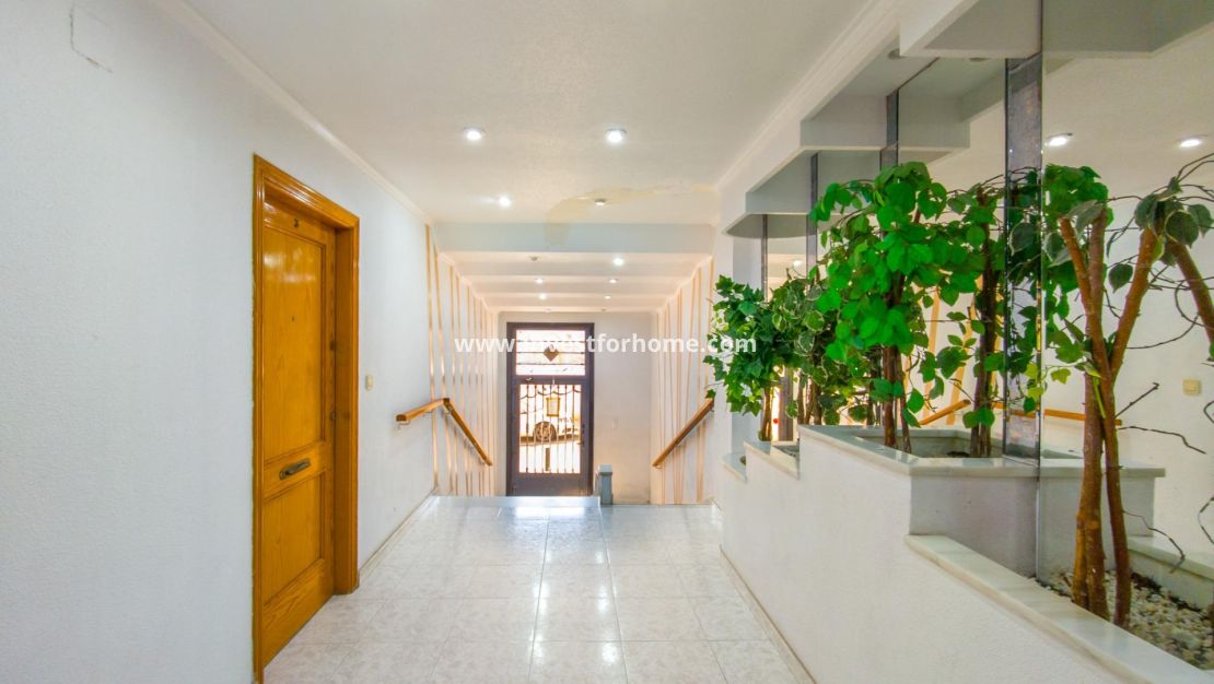 Vente - Appartement - Torrevieja - Estacion De Autobuses