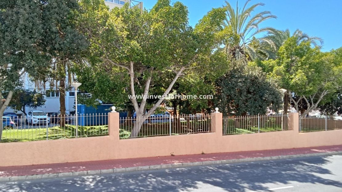 Vente - Appartement - Torrevieja - Estacion De Autobuses