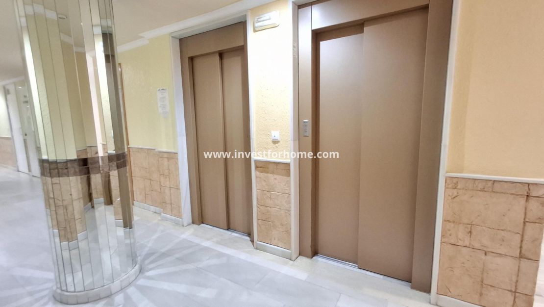 Vente - Appartement - Torrevieja - Estacion De Autobuses