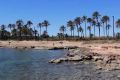 Vente - Appartement - Torrevieja - La Veleta