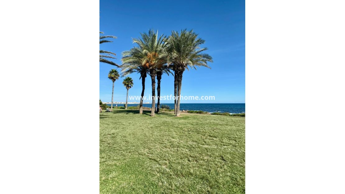 Vente - Appartement - Torrevieja - La veleta