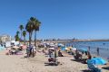Vente - Appartement - Torrevieja - LOS NAUFRAGOS PLAYA