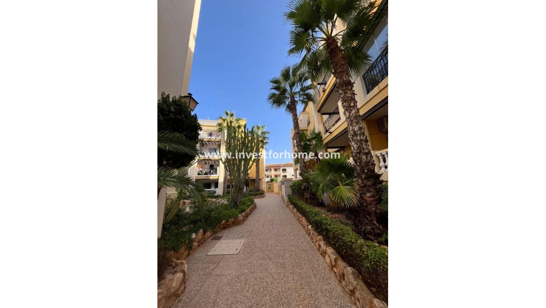Vente - Appartement - Torrevieja - Nueva Torrevieja - Aguas Nuevas