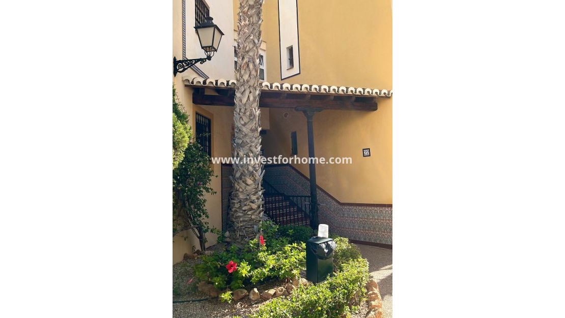 Vente - Appartement - Torrevieja - Nueva Torrevieja - Aguas Nuevas