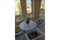 Vente - Appartement - Torrevieja - Nueva Torrevieja - Aguas Nuevas