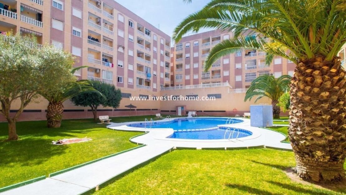 Vente - Appartement - Torrevieja - PARQUE DE LAS NACIONES