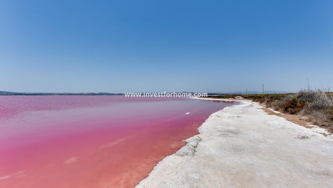 Vente - Appartement - Torrevieja - Parque Las Naciones