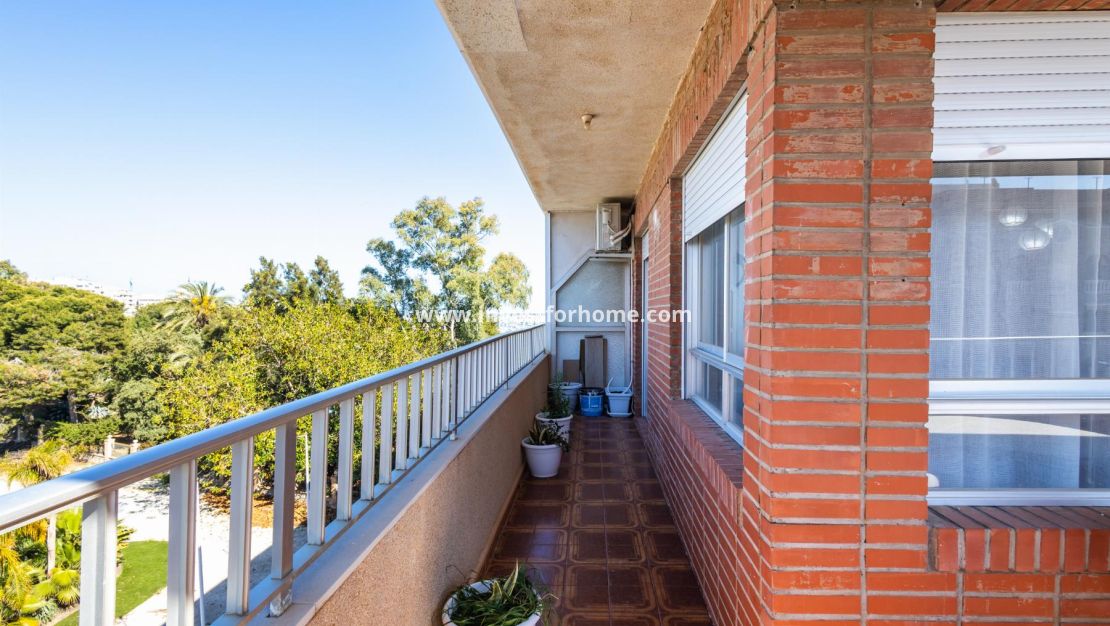 Vente - Appartement - Torrevieja - Playa del Acequión