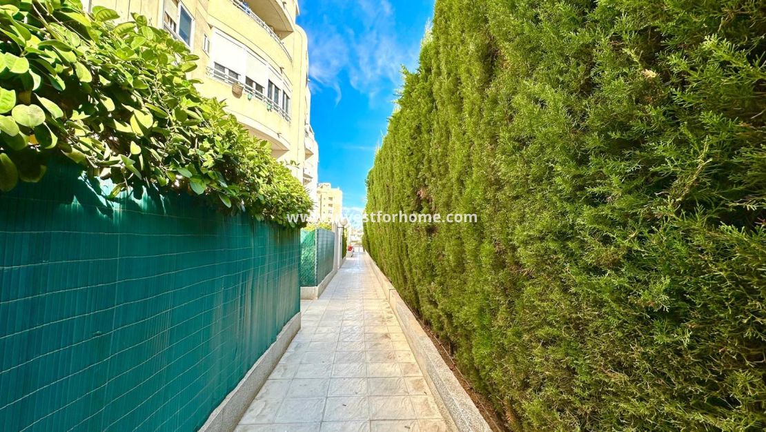 Vente - Appartement - Torrevieja - Playa del Cura