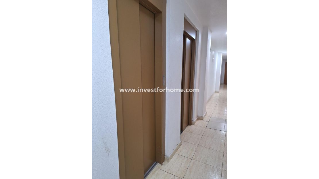 Vente - Appartement - Torrevieja - Playa del Cura