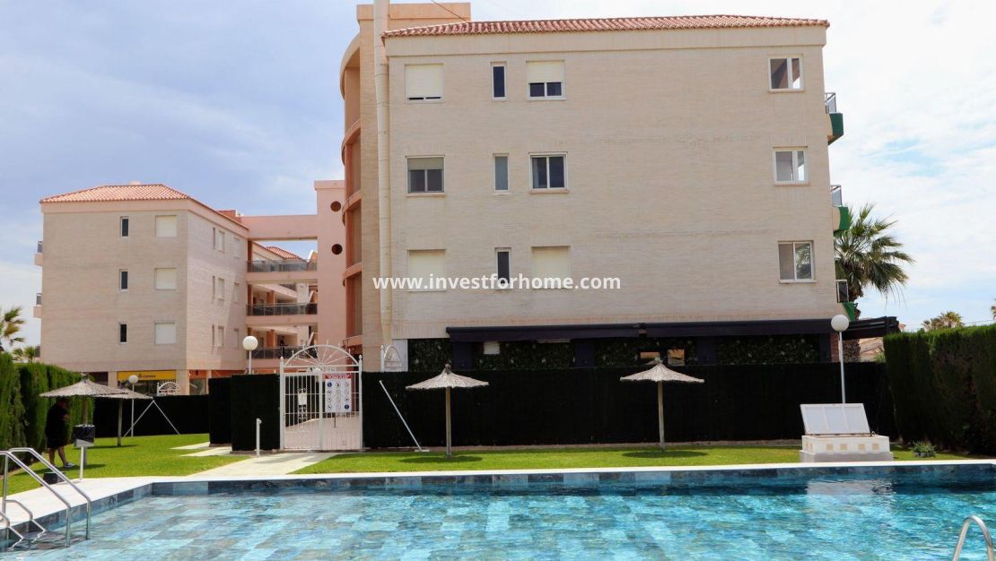 Vente - Appartement - Torrevieja - Playa Flamenca