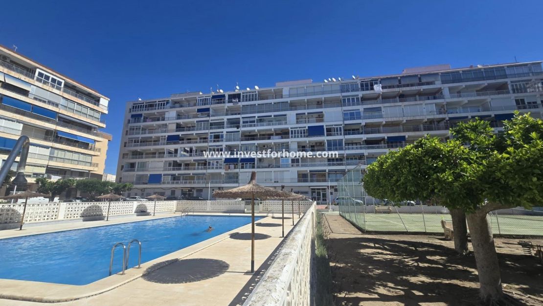 Vente - Appartement - Torrevieja - Puerto Deportivo Marina Salinas