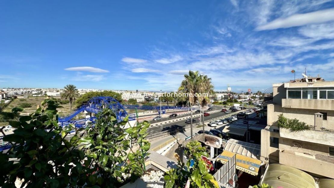 Vente - Appartement - Torrevieja - Punta prima