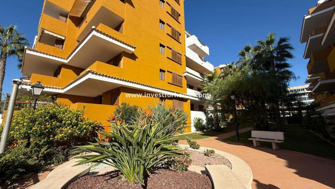 Vente - Appartement - Torrevieja - Punta prima