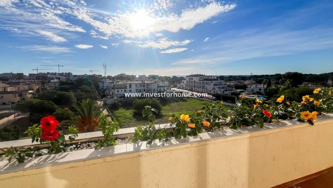 Vente - Appartement - Torrevieja - Punta prima
