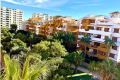 Vente - Appartement - Torrevieja - Punta prima