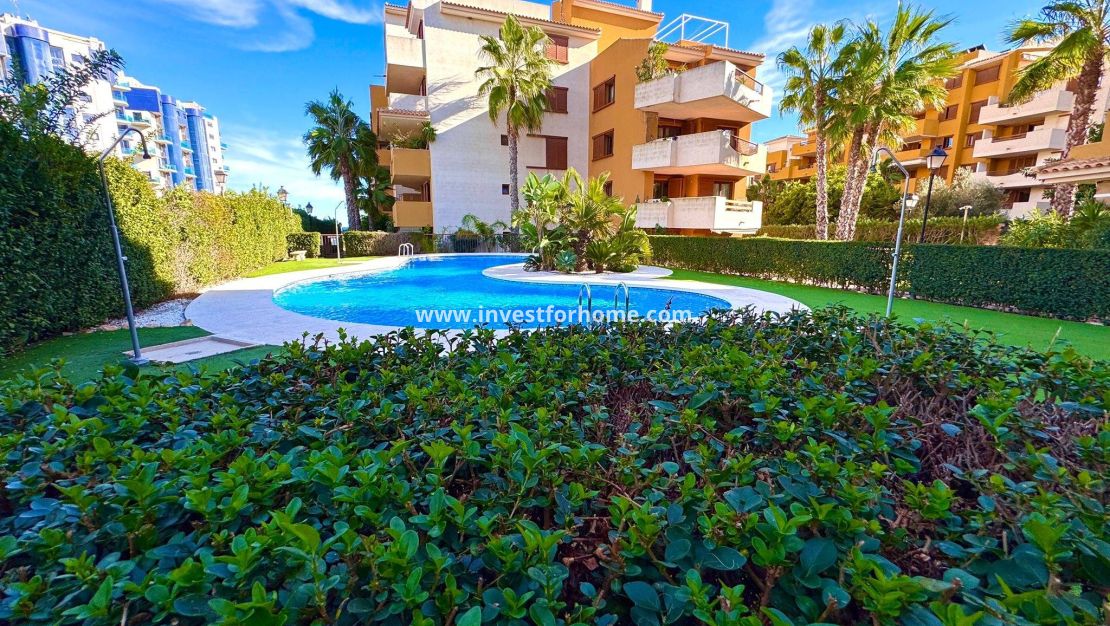 Vente - Appartement - Torrevieja - Punta prima