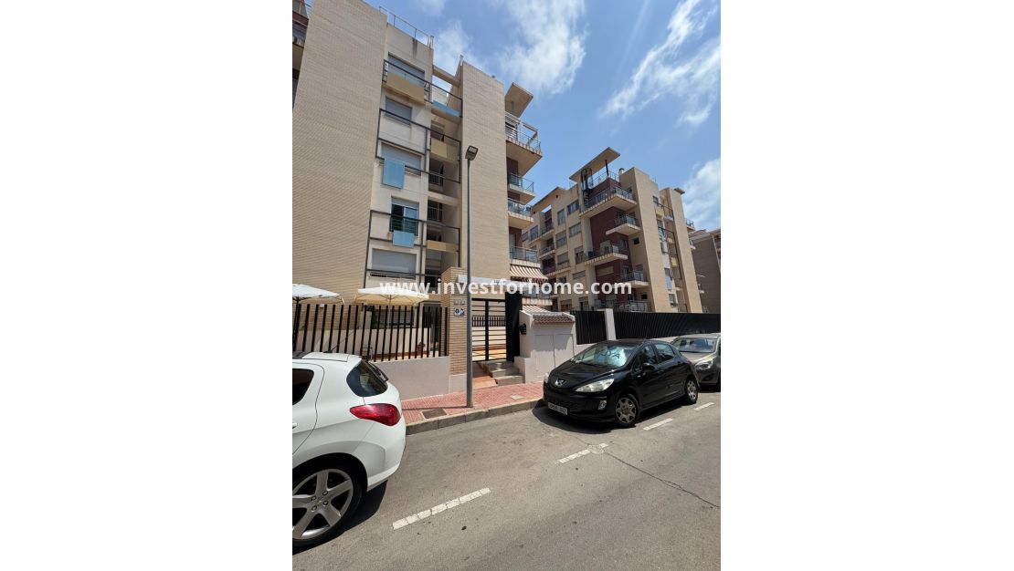 Vente - Appartement - Torrevieja - Punta prima