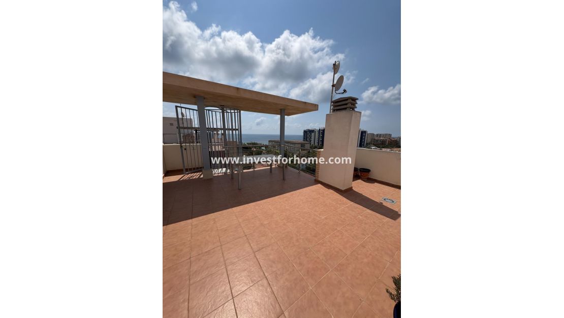 Vente - Appartement - Torrevieja - Punta prima