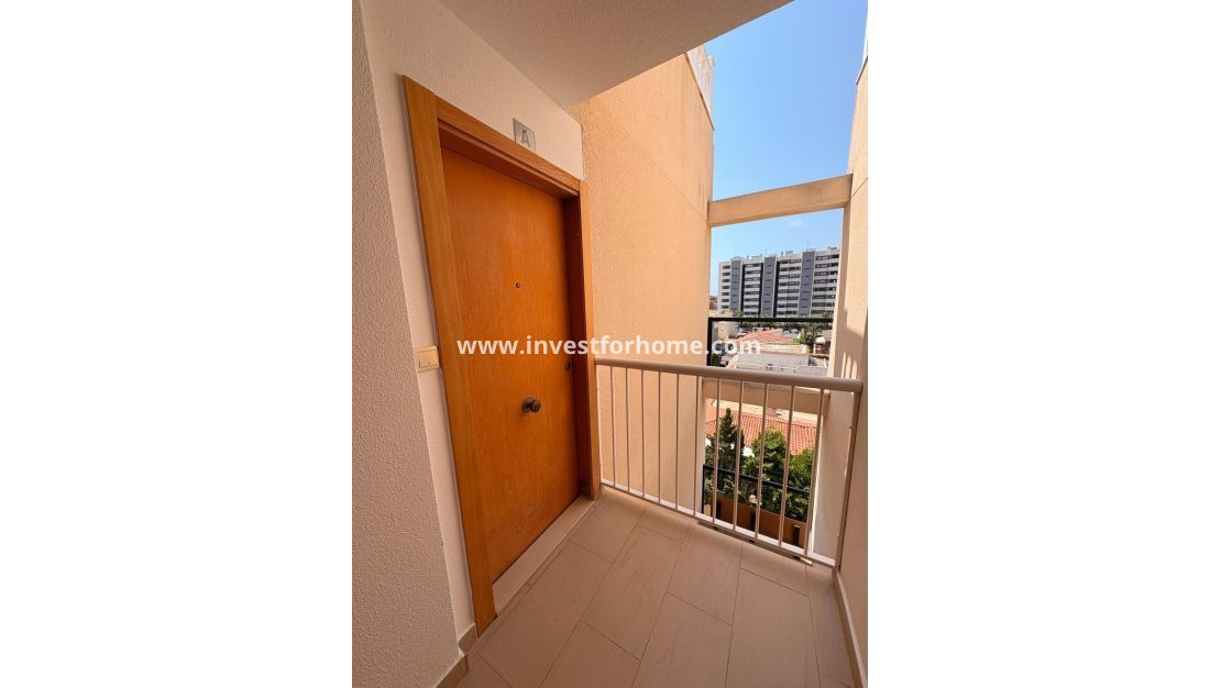 Vente - Appartement - Torrevieja - Punta prima