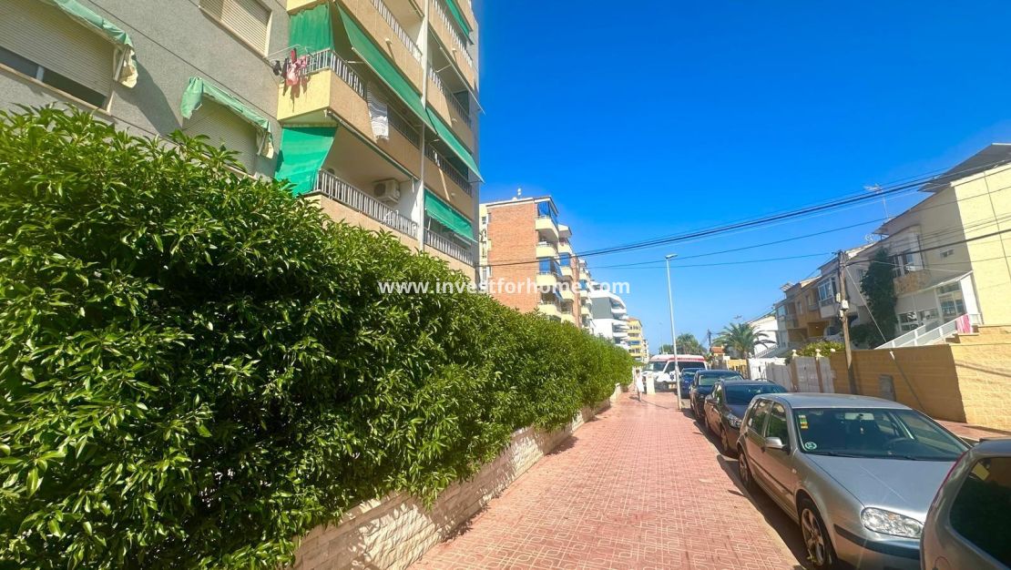 Vente - Appartement - Torrevieja - Punta prima