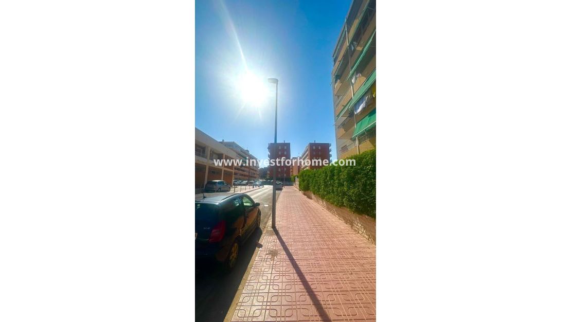 Vente - Appartement - Torrevieja - Punta prima