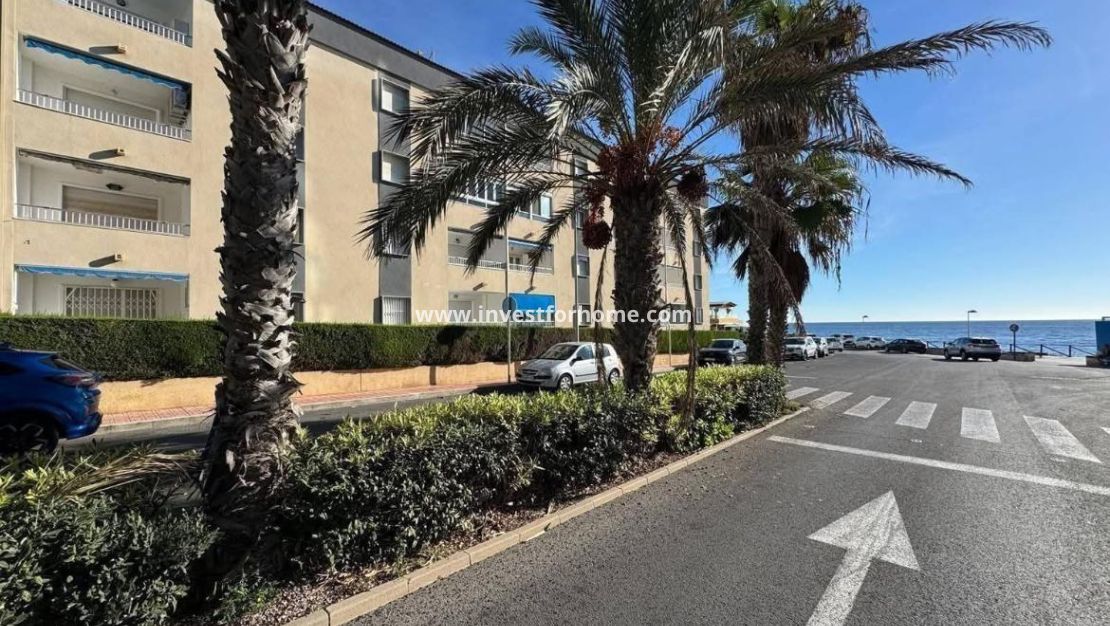 Vente - Appartement - Torrevieja - Punta prima