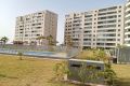 Vente - Appartement - Torrevieja - Punta prima
